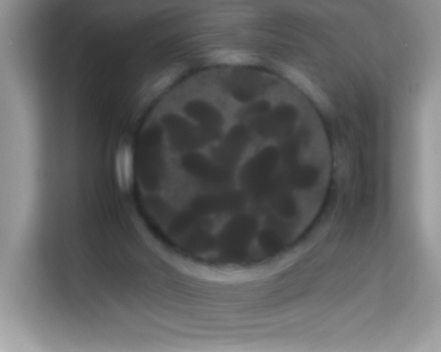 X0000114190014200910091241