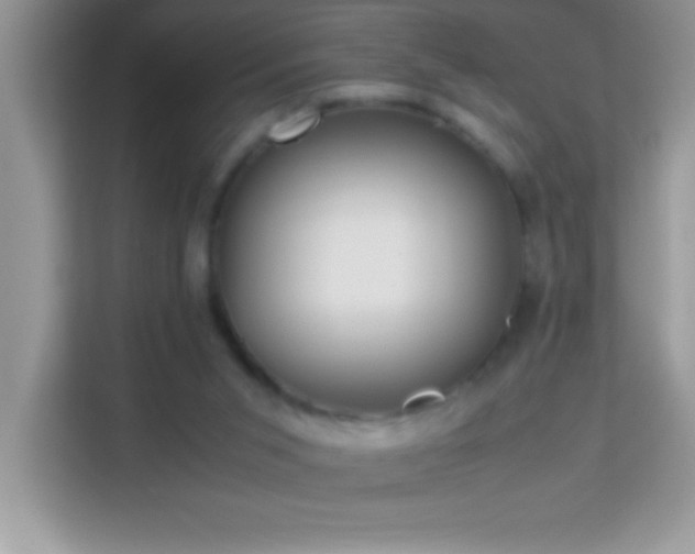 X0000114190015200910091241