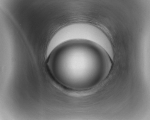X0000114190017200910091241