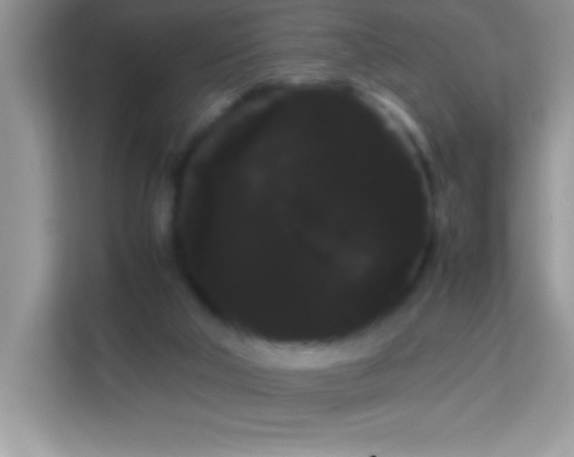 X0000114190018200910091241
