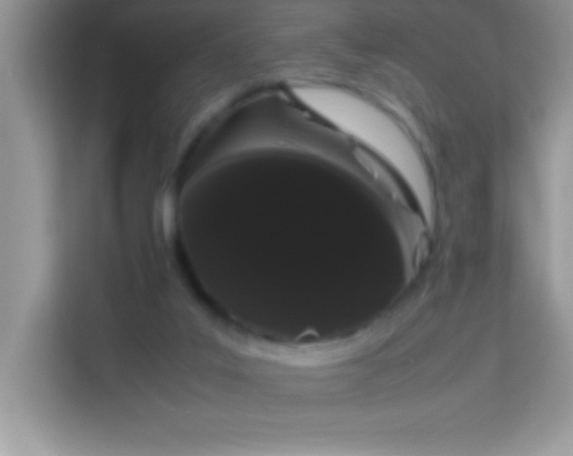 X0000114190019200910091241