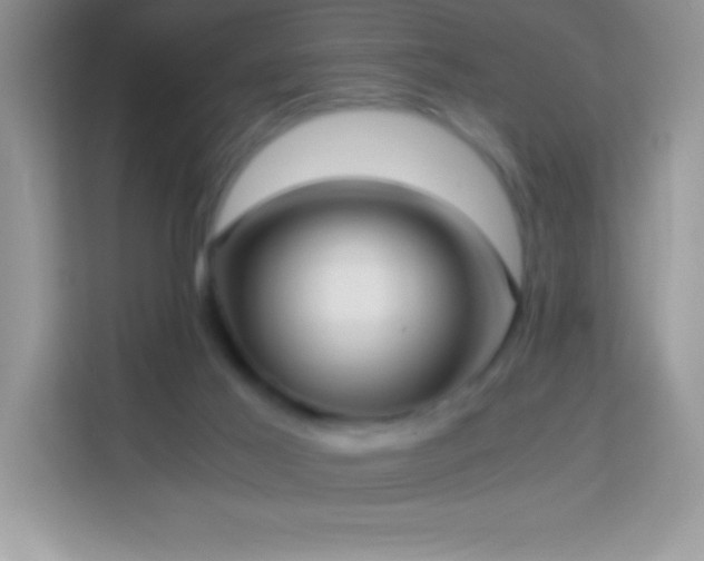 X0000114190021200910091241