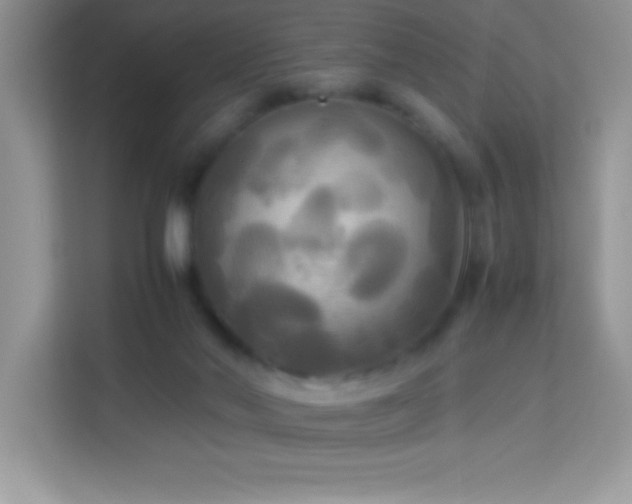 X0000114190022200910091241