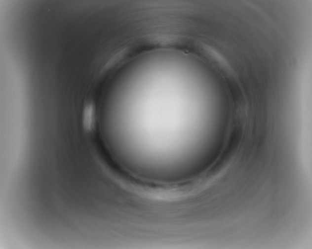 X0000114190024200910091241