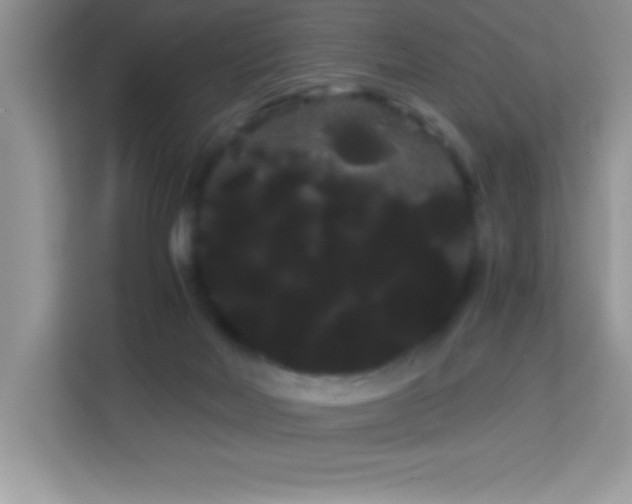 X0000114190026200910091241