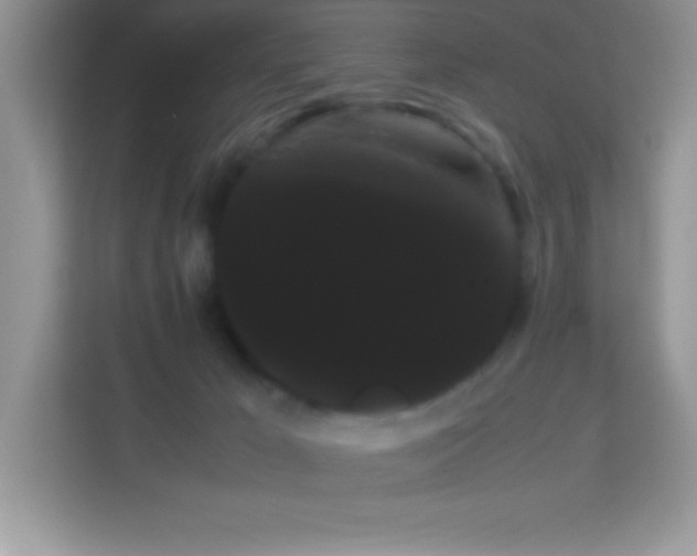 X0000114190029200910091241