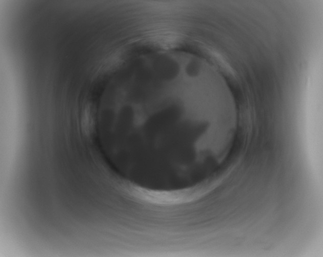X0000114190030200910091241