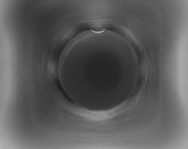 X0000114190031200910091241