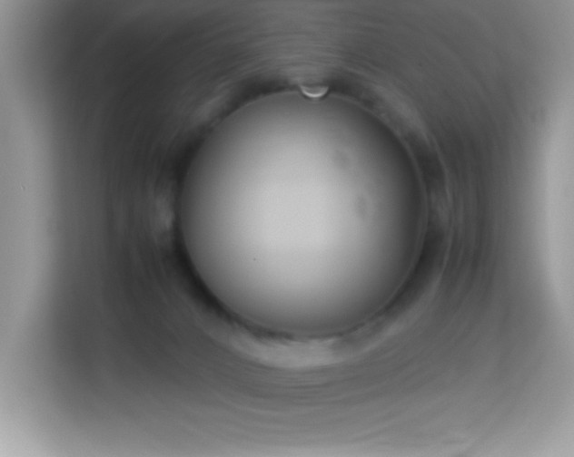 X0000114190032200910091241
