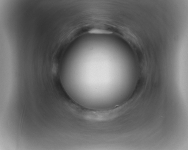 X0000114190033200910091241