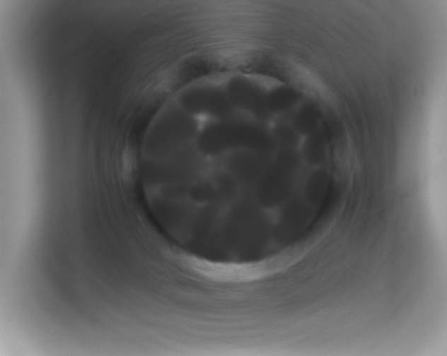X0000114190034200910091241