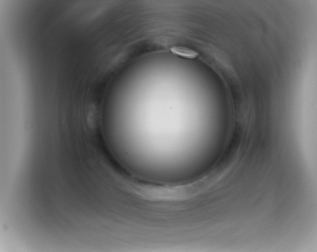 X0000114190036200910091241