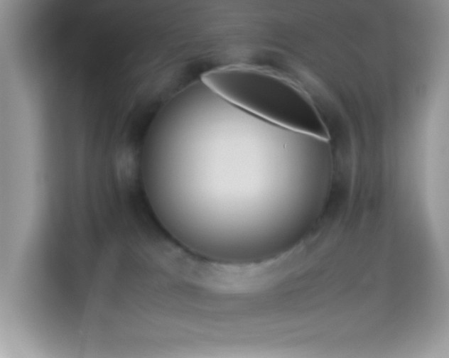 X0000114190037200910091241