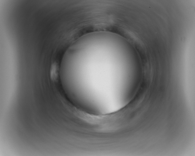X0000114190038200910091241