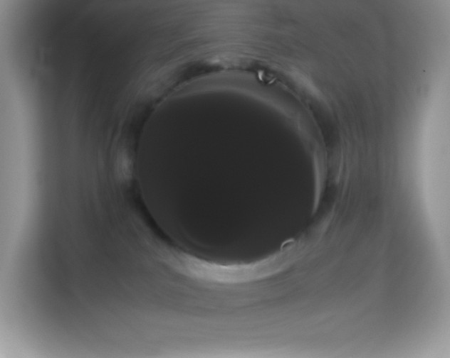 X0000114190039200910091241