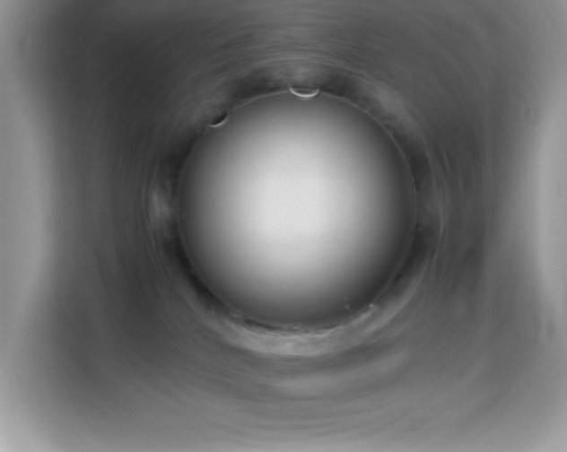 X0000114190040200910091241