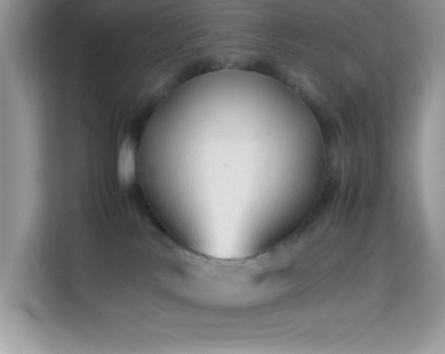 X0000114190042200910091241
