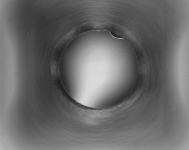 X0000114190044200910091241