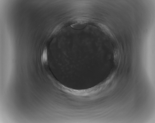 X0000114190046200910091241