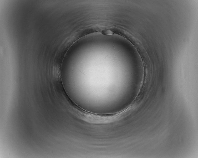 X0000114190048200910091241