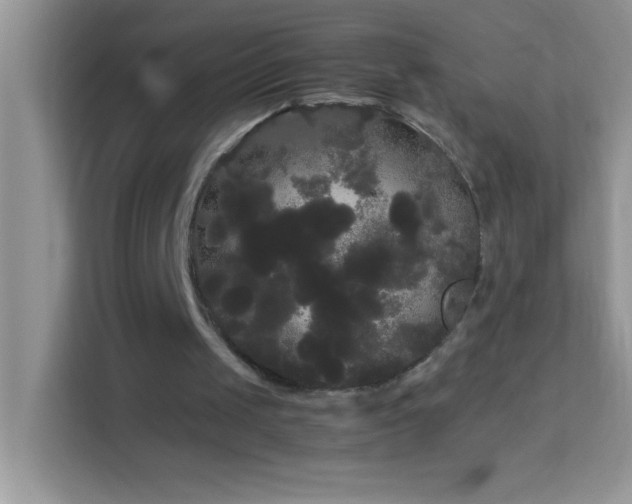 X0000114190049200910091240