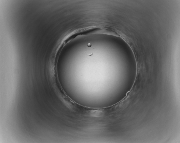 X0000114190050200910091240