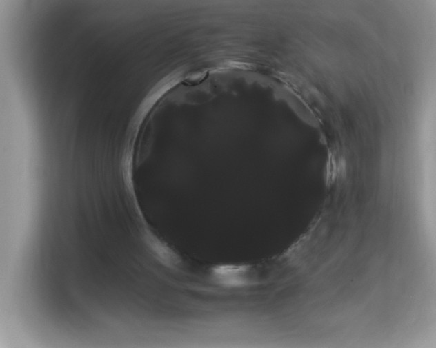 X0000114190051200910091240