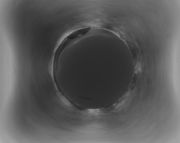 X0000114190052200910091240