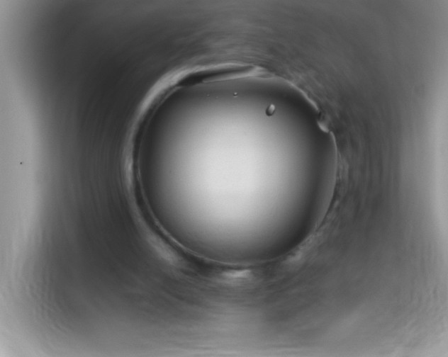 X0000114190054200910091240