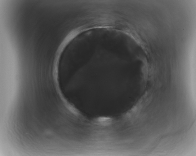 X0000114190055200910091240