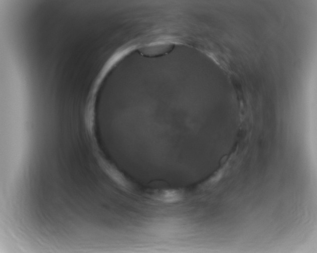 X0000114190056200910091240