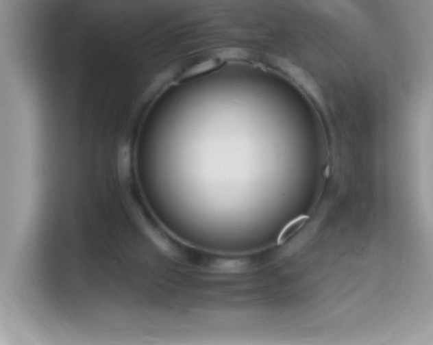 X0000114190057200910091241