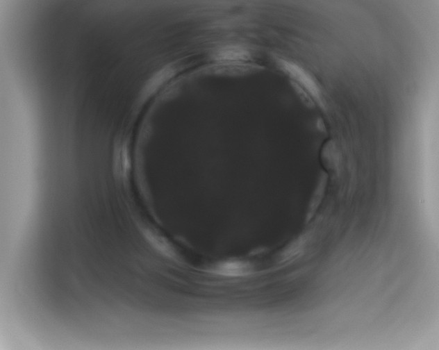 X0000114190059200910091241