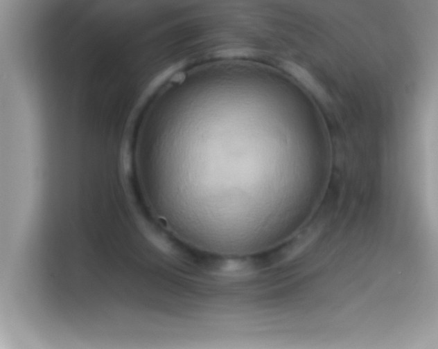 X0000114190060200910091241