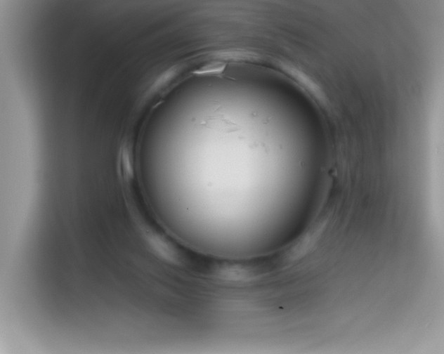 X0000114190062200910091241