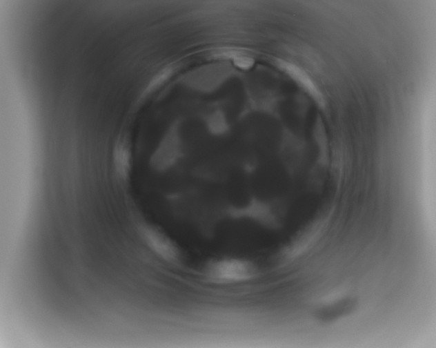 X0000114190063200910091241