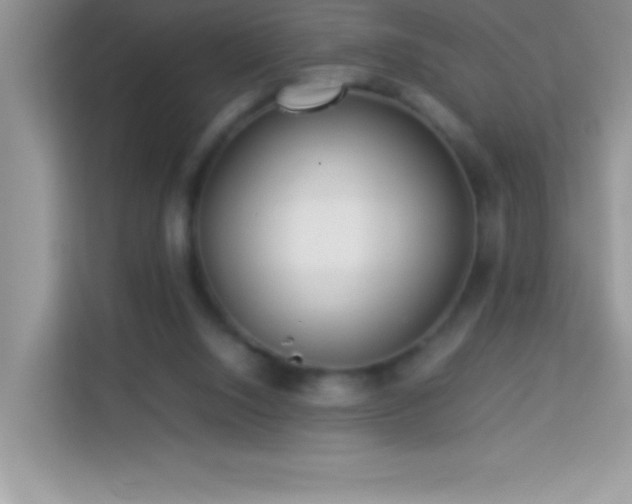 X0000114190064200910091241