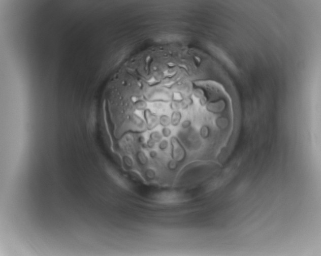 X0000114190065200910091241