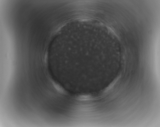 X0000114190066200910091241