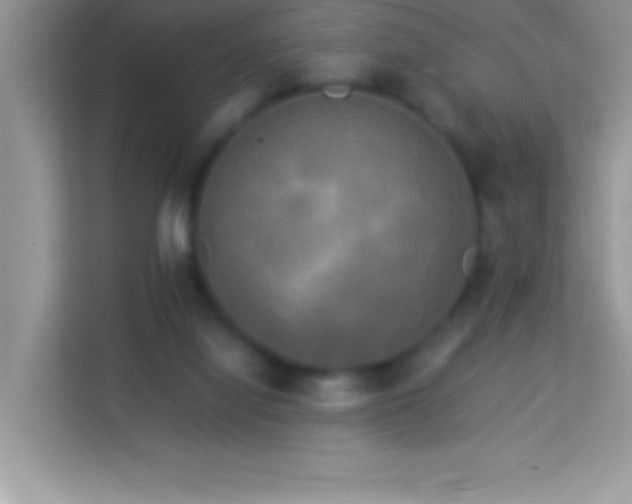 X0000114190068200910091241