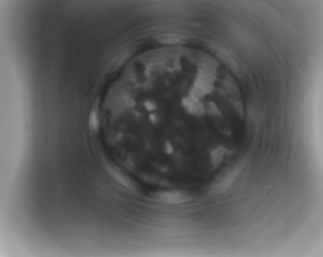 X0000114190069200910091241