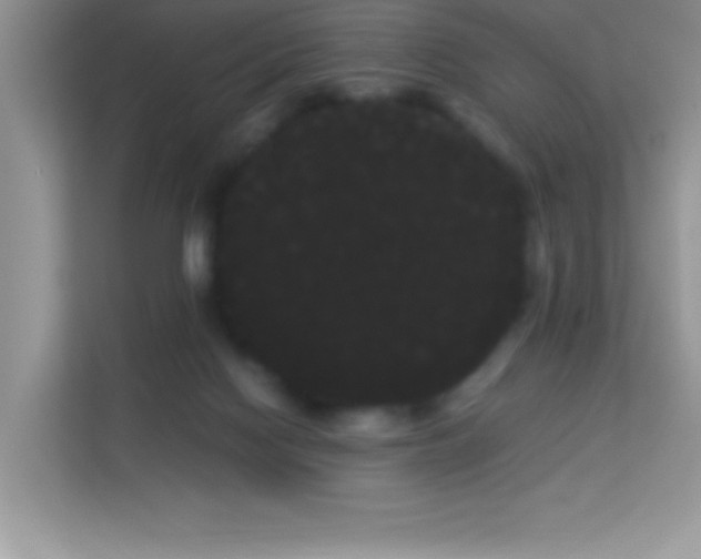 X0000114190074200910091241