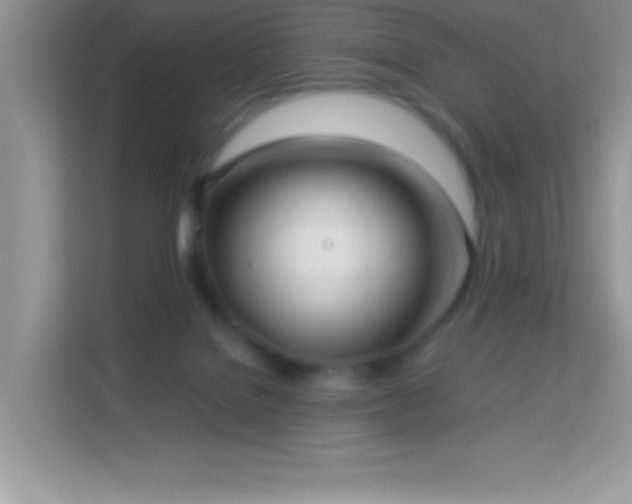 X0000114190076200910091241
