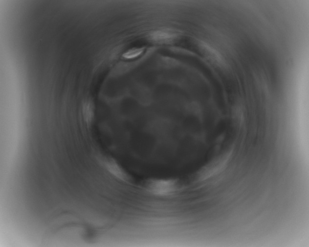 X0000114190081200910091241
