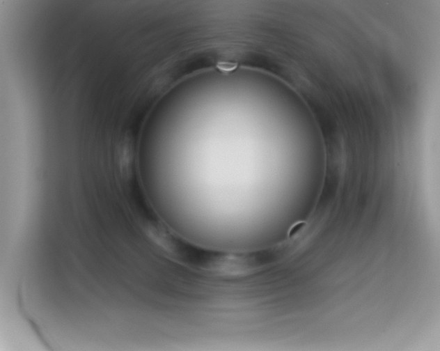 X0000114190082200910091241