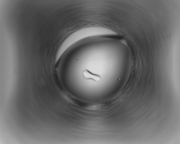 X0000114190084200910091241