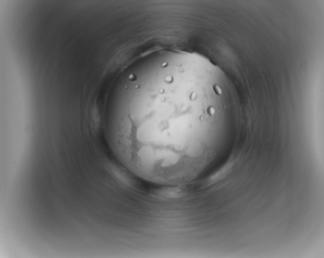 X0000114190086200910091241
