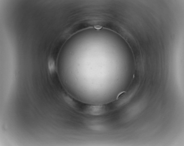 X0000114190089200910091241
