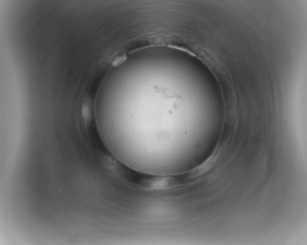 X0000114190090200910091241