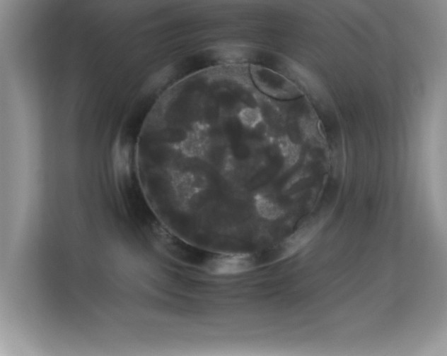 X0000114190093200910091241